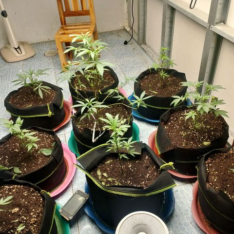 รอบ สอง growlog timeline photo