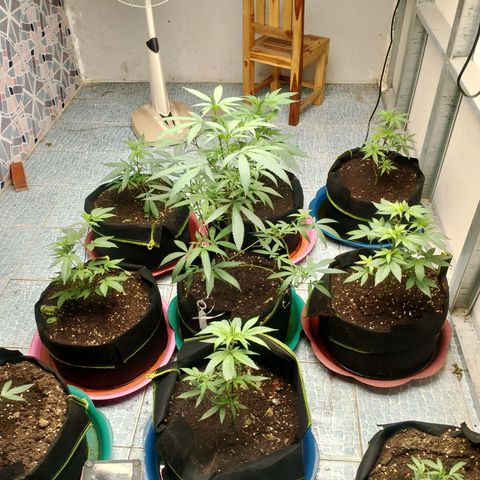 รอบ สอง growlog timeline photo