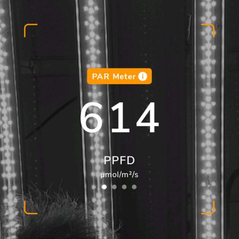รอบ สอง growlog timeline photo