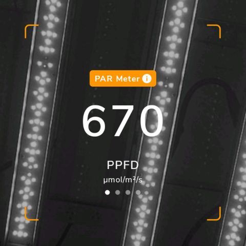 รอบ สอง growlog timeline photo