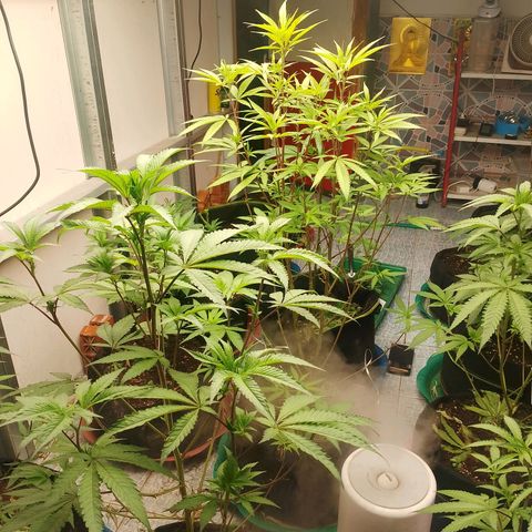 รอบ สอง growlog timeline photo