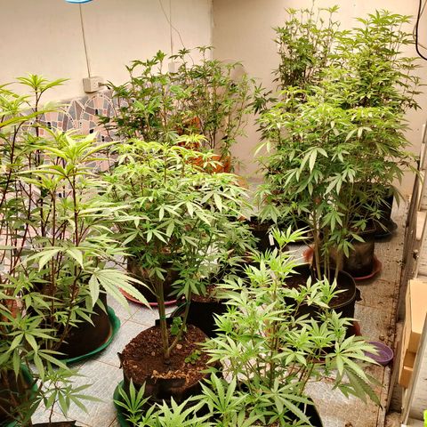 รอบ สอง growlog timeline photo