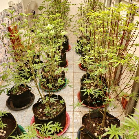 รอบ สอง growlog timeline photo