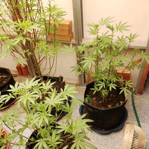รอบ สอง growlog timeline photo
