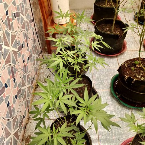 รอบ สอง growlog timeline photo
