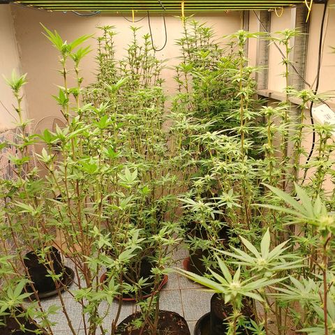 รอบ สอง growlog timeline photo