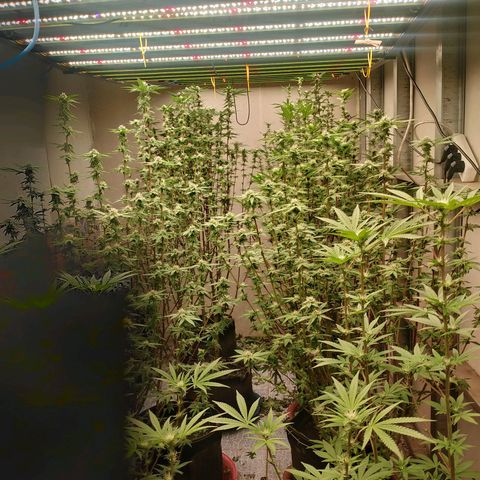 รอบ สอง growlog timeline photo