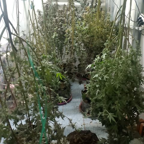 รอบ สอง growlog timeline photo