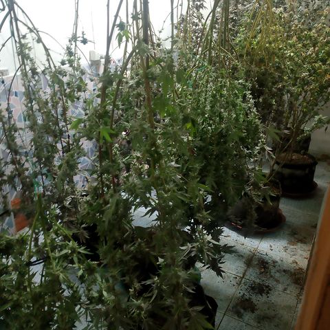 รอบ สอง growlog timeline photo