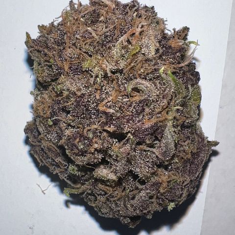 Gelato growlog photo: 151 final weight