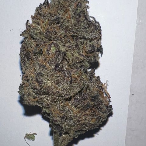 Queens Banner growlog photo: 141 final weight