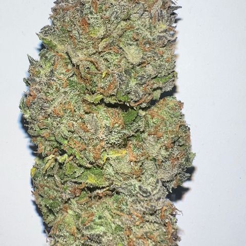 Amnesia Haze growlog photo: 117 final weight