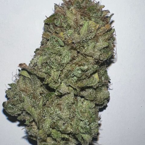 Mesphito - CDLC growlog photo: 80 final weight