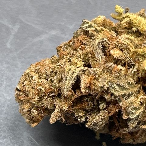 Ayahuasca Purple ( Barney’s farm ) growlog timeline photo