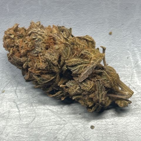 Ayahuasca Purple ( Barney’s farm ) growlog timeline photo