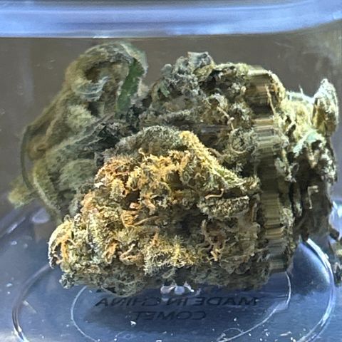 Ayahuasca Purple ( Barney’s farm ) growlog timeline photo