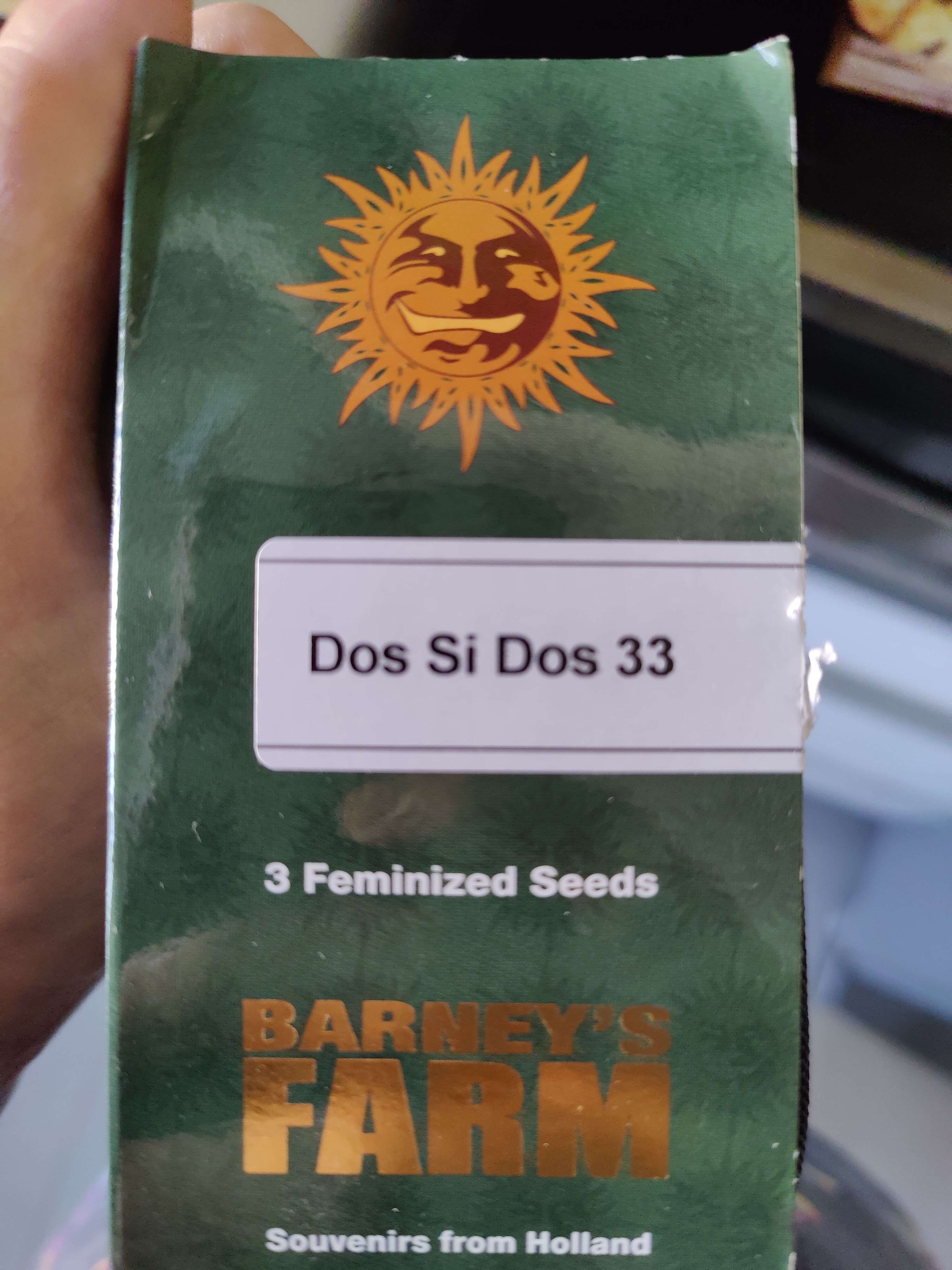 Dos Si Dos 33 growlog header