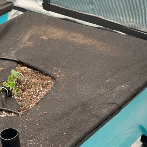  Cluster bomb  growlog timeline photo