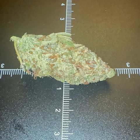 Knows Candy growlog timeline photo