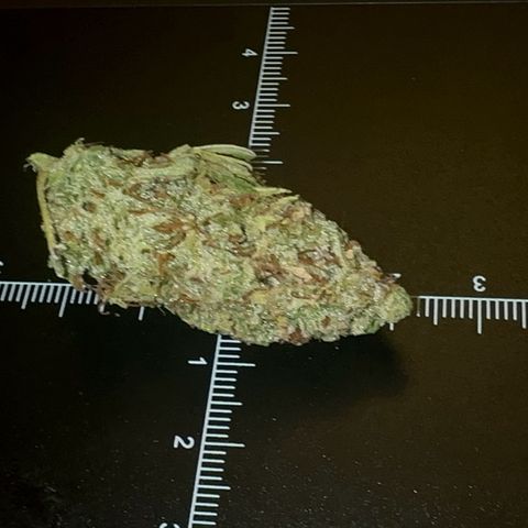 Knows Candy growlog timeline photo