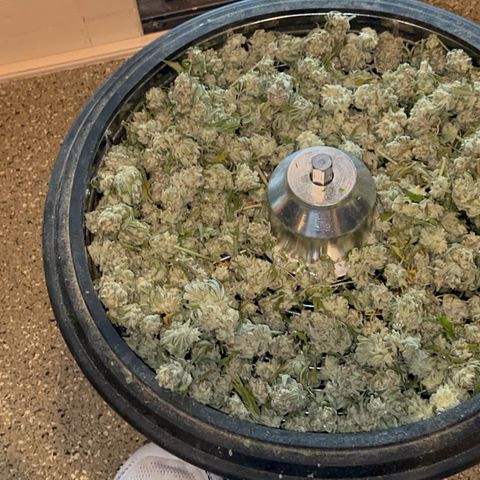  Cluster bomb  growlog timeline photo