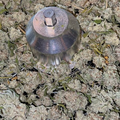  Cluster bomb  growlog timeline photo