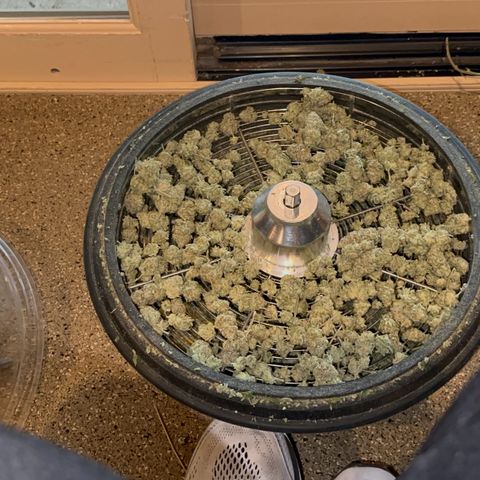  Cluster bomb  growlog timeline photo
