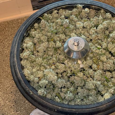  Cluster bomb  growlog timeline photo