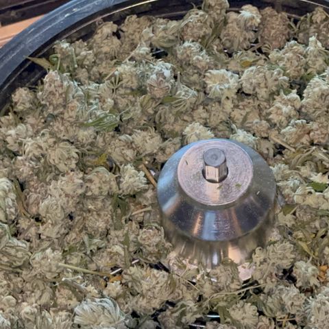  Cluster bomb  growlog timeline photo