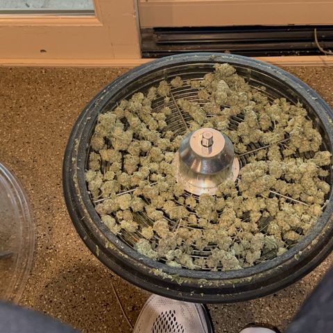  Cluster bomb  growlog timeline photo