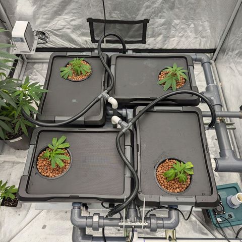 T-1000 growlog timeline photo