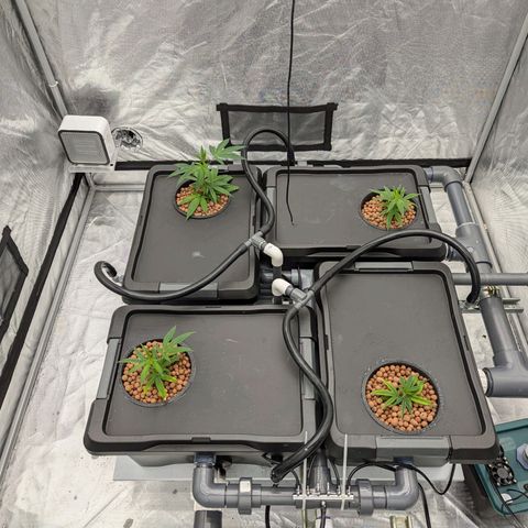 T-1000 growlog timeline photo