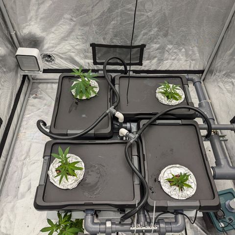 T-1000 growlog timeline photo