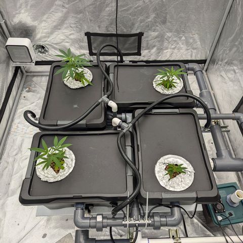 T-1000 growlog timeline photo