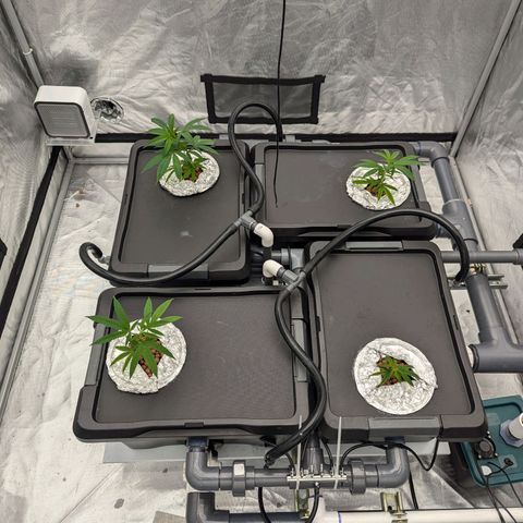 T-1000 growlog timeline photo