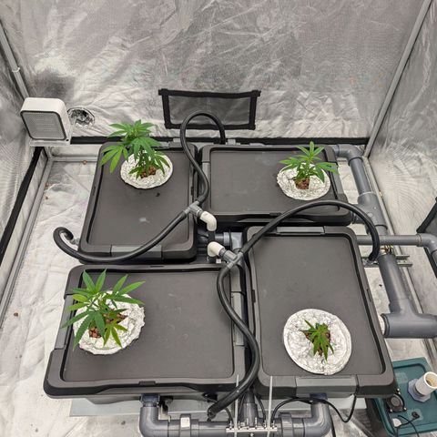 T-1000 growlog timeline photo