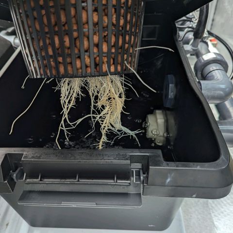T-1000 growlog timeline photo