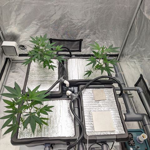 T-1000 growlog timeline photo