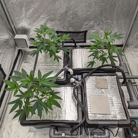 T-1000 growlog timeline photo