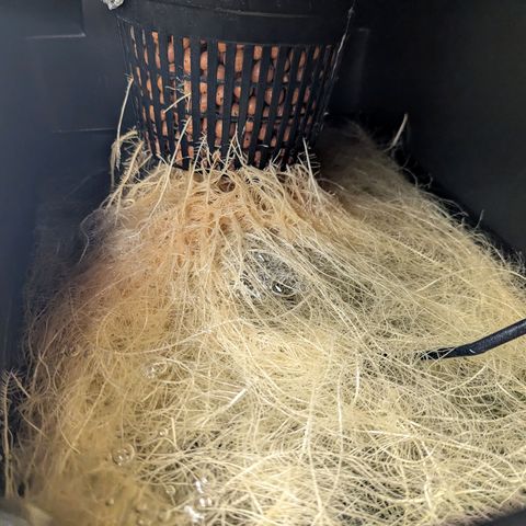 T-1000 growlog timeline photo