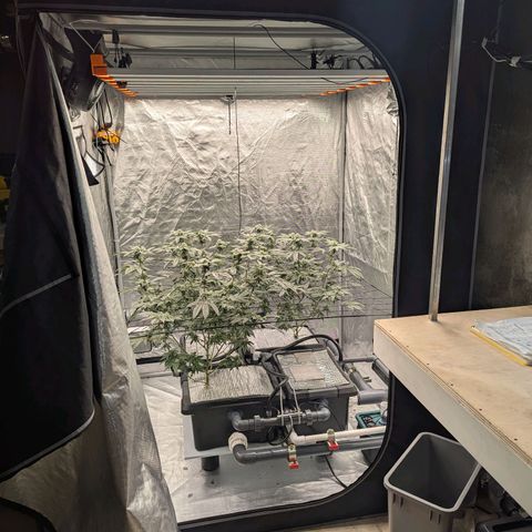 T-1000 growlog timeline photo