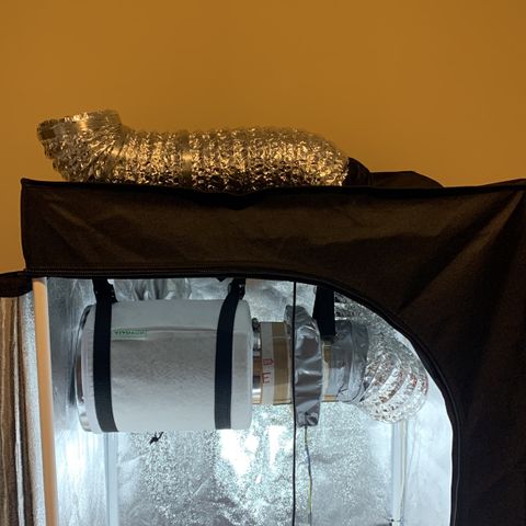Lebron XXL auto 02 growlog photo: DIY