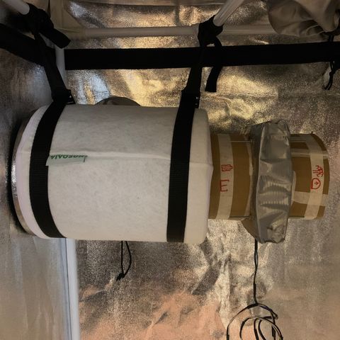 Lebron XXL auto 02 growlog photo: DIY