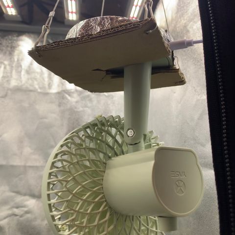 Lebron XXL auto 02 growlog photo: DIY
