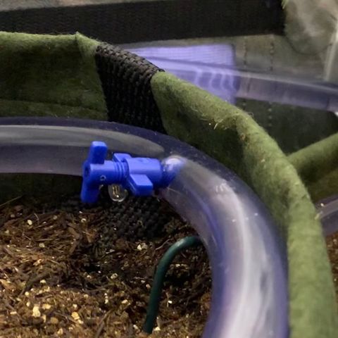 Lebron XXL auto 02 growlog photo: DIY