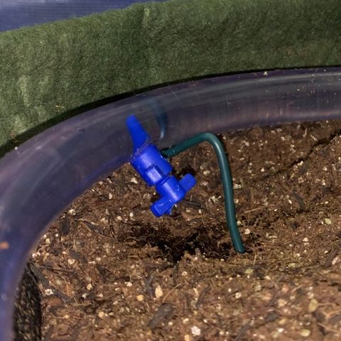 Lebron XXL auto 02 growlog photo: DIY