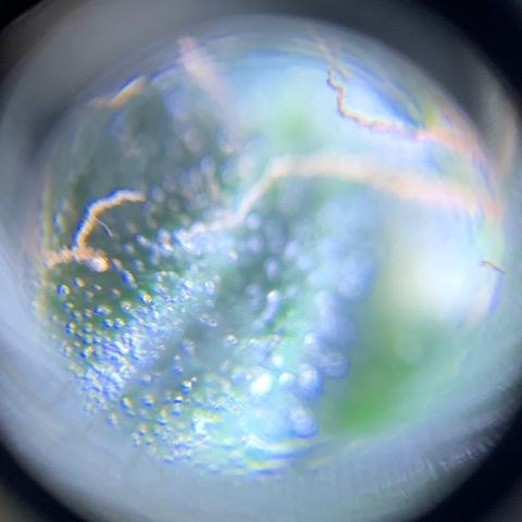 Lebron XXL auto 01 growlog timeline photo
