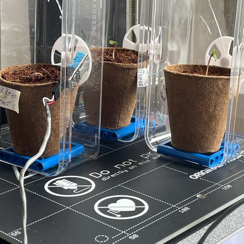 Super Silver Haze growlog timeline photo