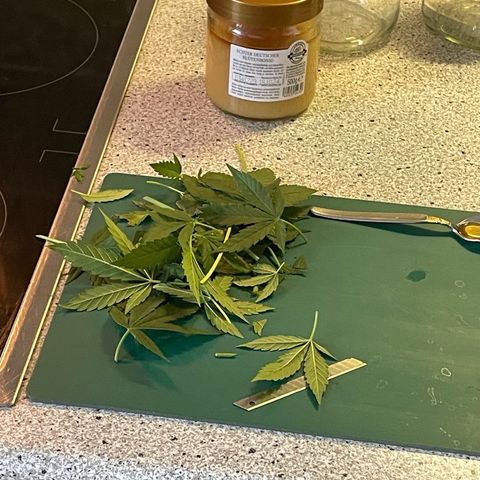 Super Silver Haze growlog timeline photo