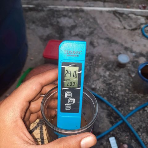Gorilla #4 growlog photo: Ppm do no dia 12 de fevereiro 